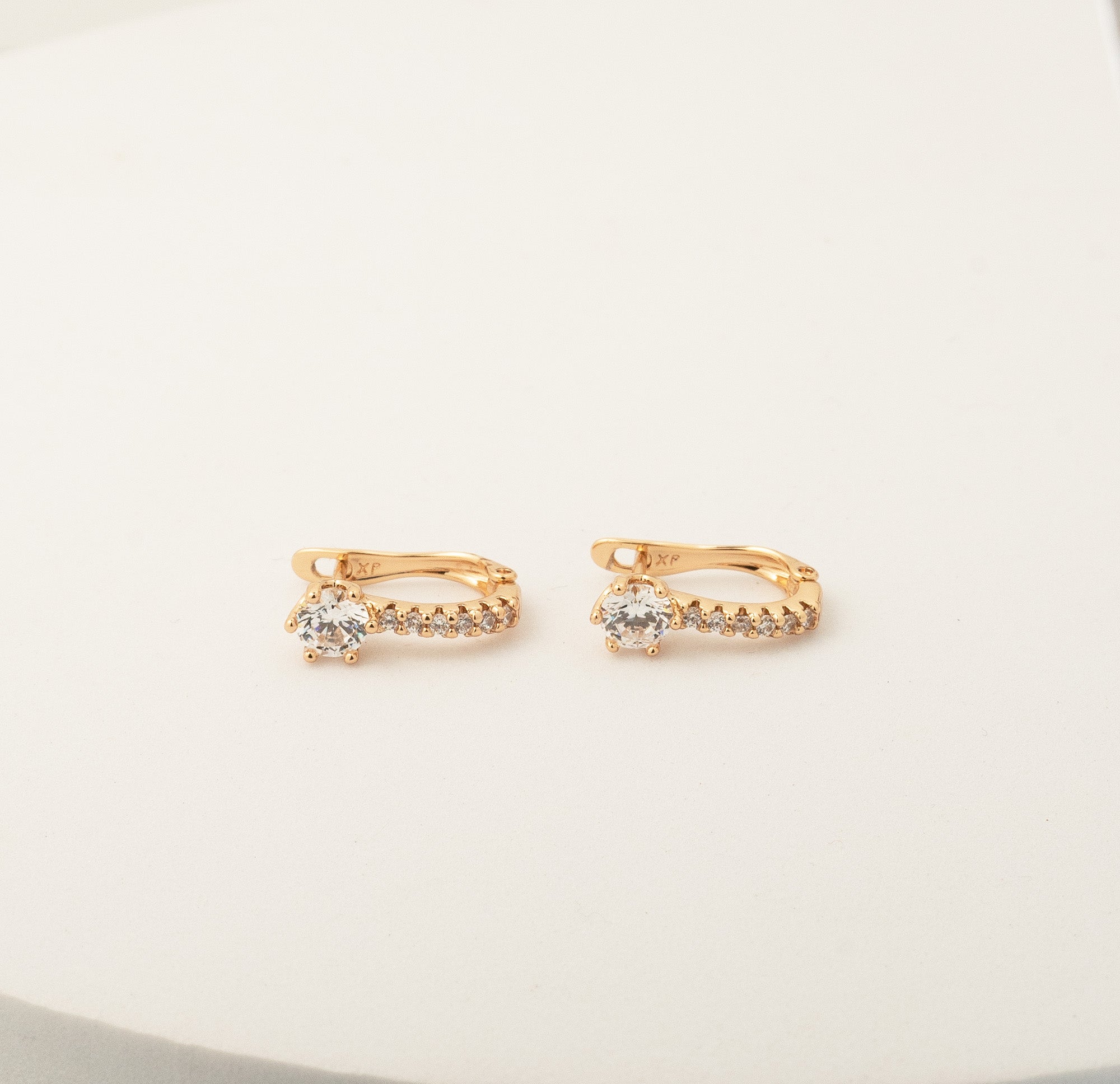 Radiance Loops Earrings