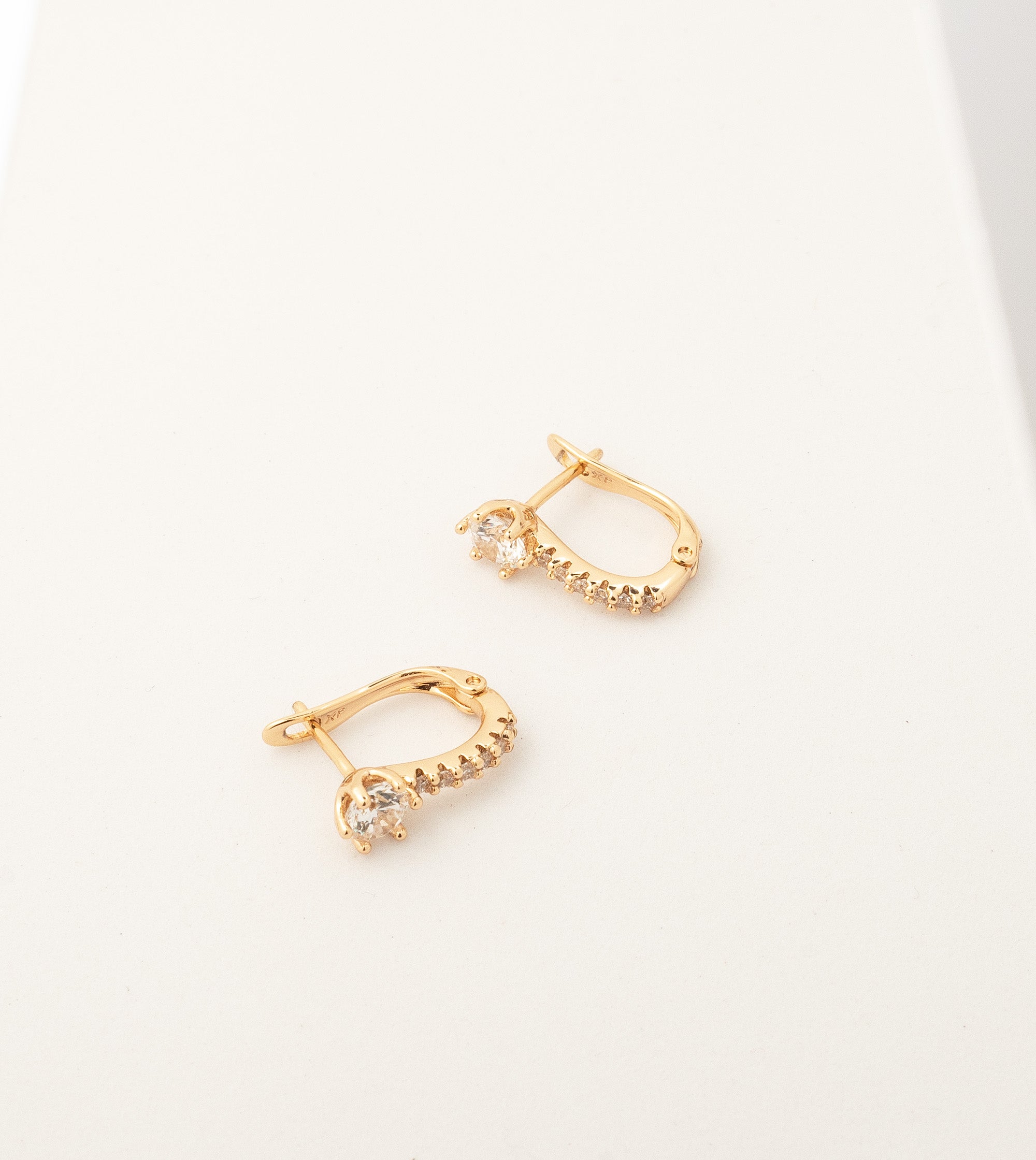 Radiance Loops Earrings