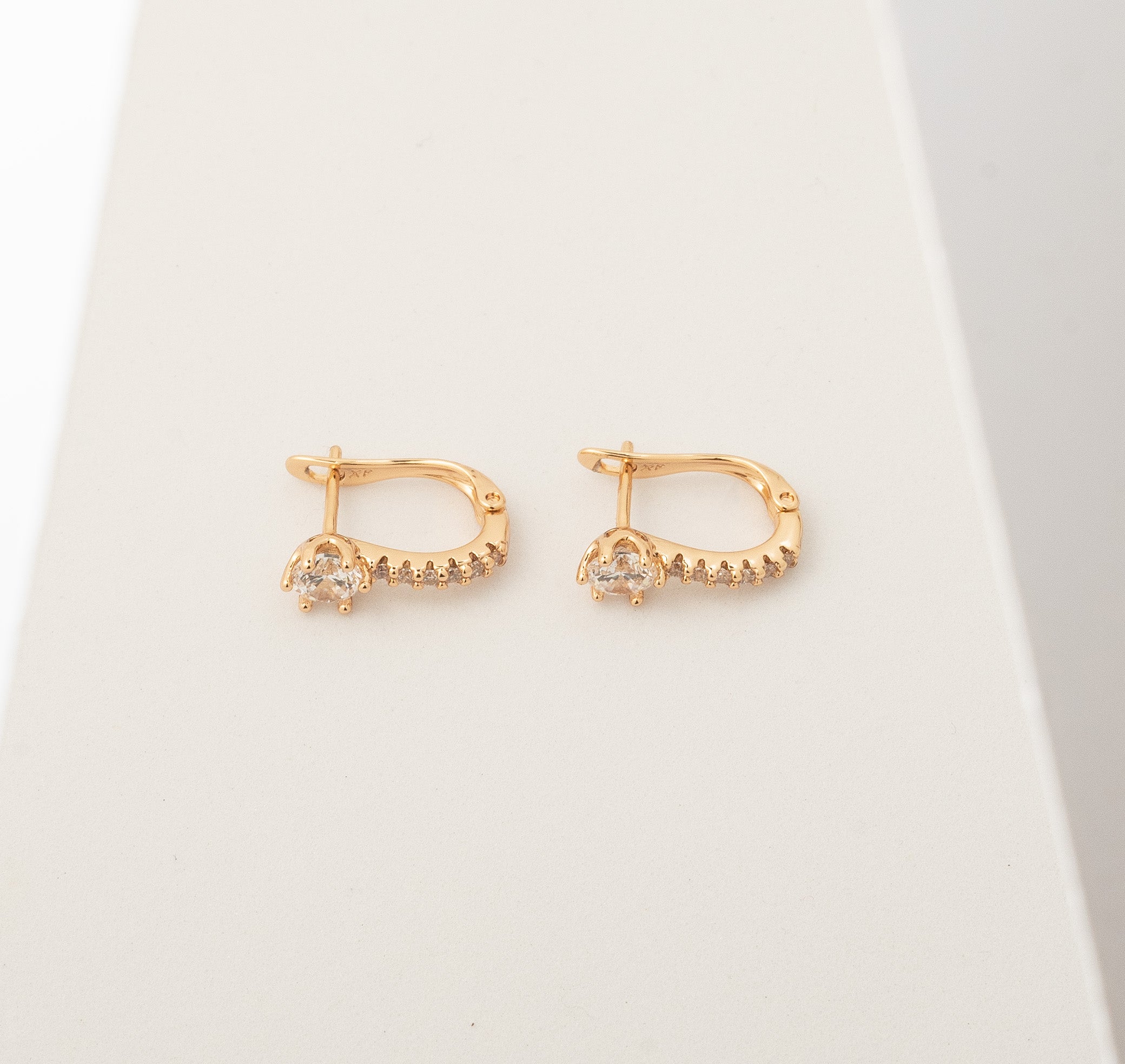 Radiance Loops Earrings
